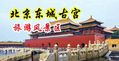 实拍替学生妹刮B毛合集中国北京-东城古宫旅游风景区